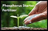 Phosphorus Starter Fertilizer