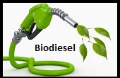 Biodiesel