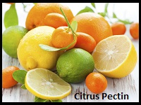Citrus Pectin