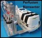 erfusion Bioreactor