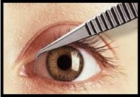 Punctal Plug Devices