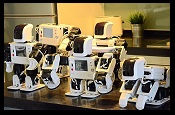 Reconfigurable Educational Robots