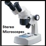 Stereo Microscopes