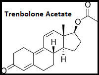 Trenbolone Acetate