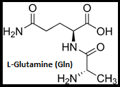 L-Glutamine (Gln)