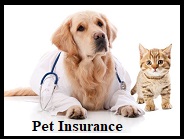 Pet Insurance
