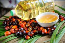 Crude Palm Kernel Oil Market To, 2026 Trends, Growth and Manufacturers – IOI Oleochemical, Sime Darby Berhad, Musim Mas, Astra Agro Lestari, Bumitama&nbsp;Agri