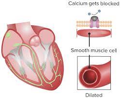 Calcium Channel Blocker Market Report 2021-2026 Product Scope & Top Manufacturers – Pfizer, AstraZeneca, Bayer,&nbsp;Aventis