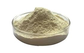 Pancreatin Market Study By Type, Applications & Top Manufacturers – Nordmark, Biocatalysts, Chongqing Aoli, Sichuan&nbsp;Deebio