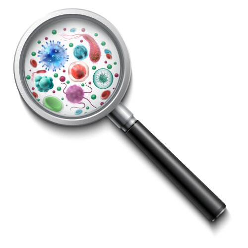 Infectious Disease Testing Market Study By Type, Applications & Top Manufacturers – Roche, Abbott, Acon Laboratories, Beckman Coulter Diagnostics, Bio-Rad&nbsp;Laboratories