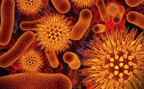 Infectious Disease Treatment Market Report 2021-2026 Product Scope & Top Manufacturers – Merck, Mylan, GlaxoSmithKline, Roche, Sanofi,&nbsp;Pfizer