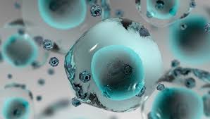 Nanomedicine Market Report Expected Massive Growth By 2021-2026 | Combimatrix, Merck, Celgene, Ablynx, GE Healthcare, Abraxis&nbsp;Bioscience