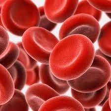 Artificial Blood Substitute Market Report Expected Massive Growth By 2022-2028 | Aurum Biosciences Ltd., HEMARINA SA, HbO2 Therapeutics,m KaloCyte&nbsp;Inc.