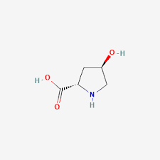 Hydroxyproline Market 2022 Industry Analysis, Size, Share, Growth and Top Manufacturers – Kyowa Hakko, Evonik, Jinyang Pharmaceutical, Beile Group, Puyer&nbsp;Biopharma