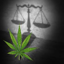 Legal Cannabis Market Study By Type, Applications & Top Manufacturers – Aurora Cannabis, CV Sciences, Medical Marijuana, Bhang Corporation, CBD American&nbsp;Shaman