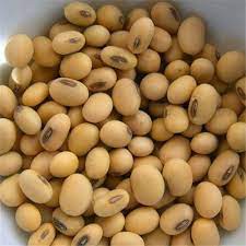 Soybean Market 2022 Industry Analysis, Size, Share, Growth and Top Manufacturers – Kerry, The Scoular, The WhiteWave Foods, Fuji Oil Group,&nbsp;Cargill