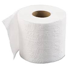 Toilet Paper Market Report Expected Massive Growth By 2022-2028 | Procter & Gamble, Kimberly-Clark, Georgia-Pacific, Metsa&nbsp;Group
