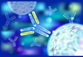 Custom Antibody Services Market 2022 Industry Analysis, Size, Share, Growth and Top Manufacturers – ThermoFisher, GenScript, Abcam, MBS,&nbsp;ROCKLAND