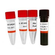 Real Time PCR Kits Market 2022 Industry Analysis, Size, Share, Growth and Top Manufacturers – Roche, Abbott, Agilent Technologies, Qiagen, Thermo Fisher&nbsp;Scientific